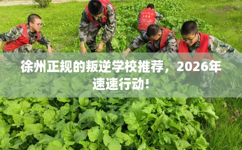 徐州正规的叛逆学校推荐，2026年速速行动!