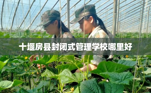 十堰房县封闭式管理学校哪里好