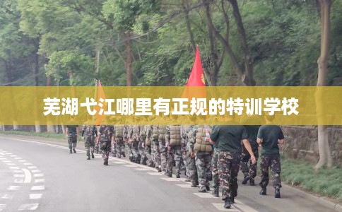 芜湖弋江哪里有正规的特训学校