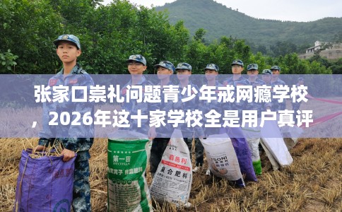 张家口崇礼问题青少年戒网瘾学校,2026年这十家学校全是用户真评! 张家口崇礼问题青少年戒网瘾学校,2026年这十家学校全是用户真评!