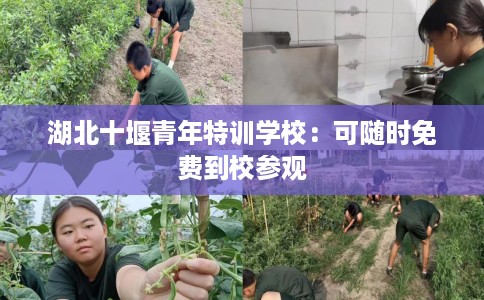 湖北十堰青年特训学校：可随时免费到校参观