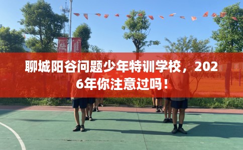 聊城阳谷问题少年特训学校，2026年你注意过吗！