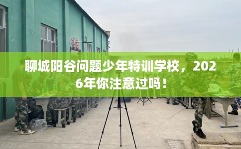 聊城阳谷问题少年特训学校，2026年你注意过吗！