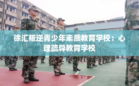 徐汇叛逆青少年素质教育学校：心理疏导教育学校