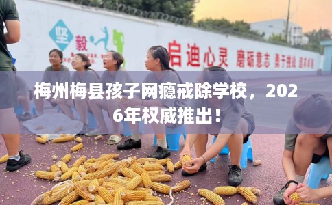 梅州梅县孩子网瘾戒除学校，2026年权威推出！