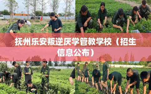 抚州乐安叛逆厌学管教学校（招生信息公布）