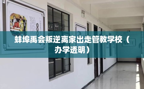蚌埠禹会叛逆离家出走管教学校（办学透明）