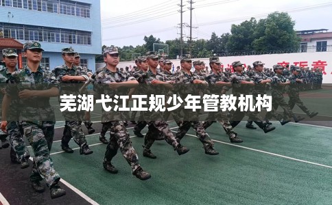 芜湖弋江正规少年管教机构