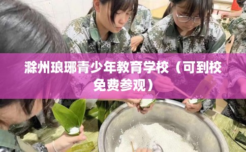 滁州琅琊青少年教育学校（可到校免费参观）