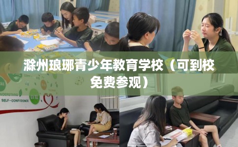 滁州琅琊青少年教育学校（可到校免费参观）