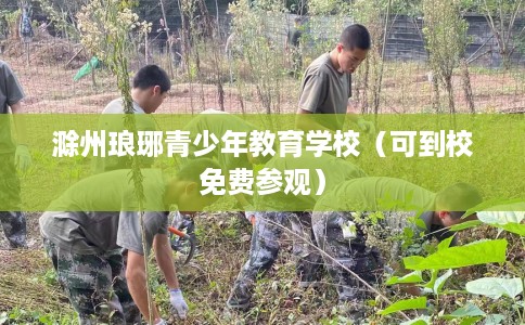 滁州琅琊青少年教育学校（可到校免费参观）