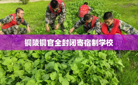 铜陵铜官全封闭寄宿制学校