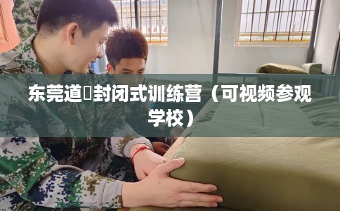 东莞道滘封闭式训练营（可视频参观学校）