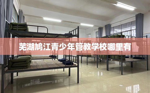 芜湖鸠江青少年管教学校哪里有