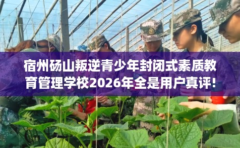 宿州砀山叛逆青少年封闭式素质教育管理学校2026年全是用户真评!