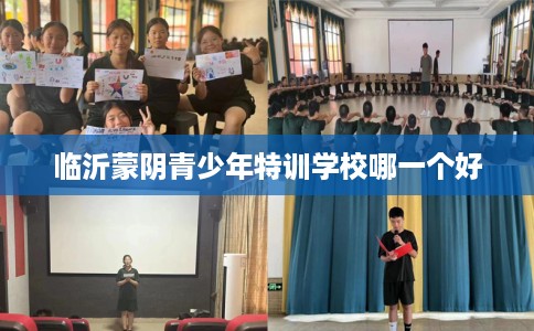 临沂蒙阴青少年特训学校哪一个好