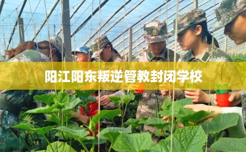 阳江阳东叛逆管教封闭学校