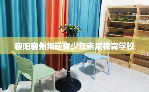 襄阳襄州叛逆青少年素质教育学校