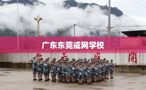 广东东莞戒网学校