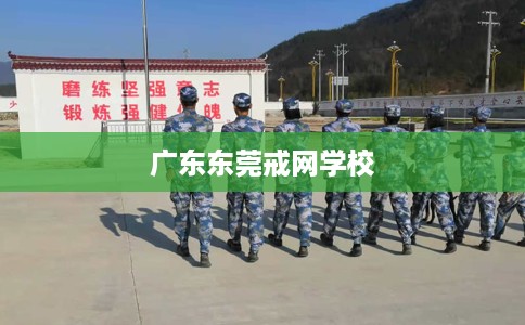 广东东莞戒网学校