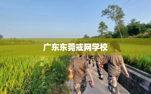 广东东莞戒网学校