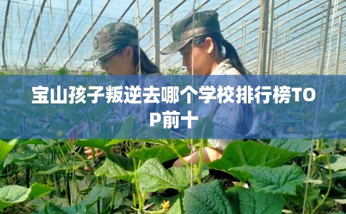 宝山孩子叛逆去哪个学校排行榜TOP前十