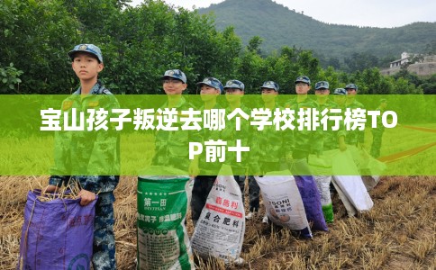 宝山孩子叛逆去哪个学校排行榜TOP前十