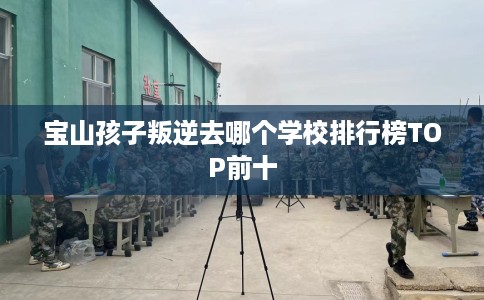 宝山孩子叛逆去哪个学校排行榜TOP前十