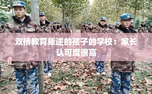 双桥教育叛逆的孩子的学校：家长认可度很高