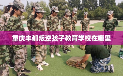 重庆丰都叛逆孩子教育学校在哪里