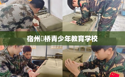 宿州埇桥青少年教育学校