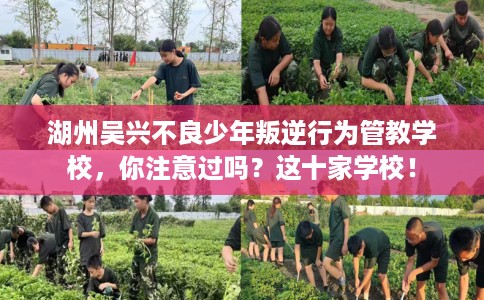 湖州吴兴不良少年叛逆行为管教学校，你注意过吗？这十家学校！