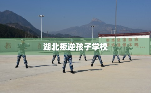 湖北叛逆孩子学校