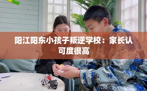 阳江阳东小孩子叛逆学校：家长认可度很高