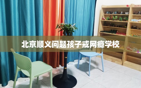 北京顺义问题孩子戒网瘾学校