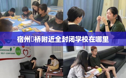 宿州埇桥附近全封闭学校在哪里