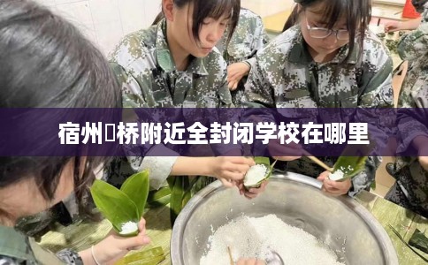 宿州埇桥附近全封闭学校在哪里
