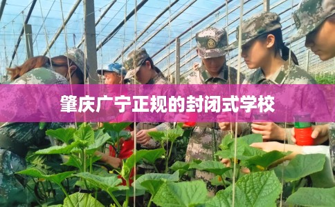 肇庆广宁正规的封闭式学校