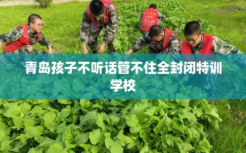 青岛孩子不听话管不住全封闭特训学校