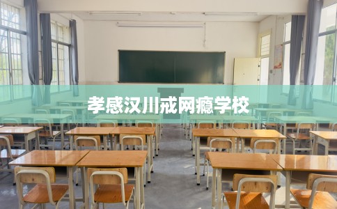 孝感汉川戒网瘾学校