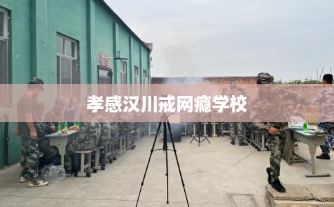 孝感汉川戒网瘾学校