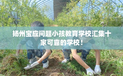 扬州宝应问题小孩教育学校汇集十家可靠的学校！