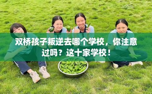 双桥孩子叛逆去哪个学校，你注意过吗？这十家学校！
