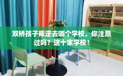 双桥孩子叛逆去哪个学校，你注意过吗？这十家学校！