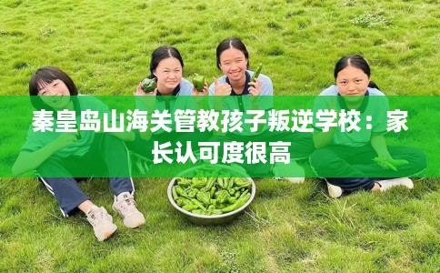 秦皇岛山海关管教孩子叛逆学校：家长认可度很高