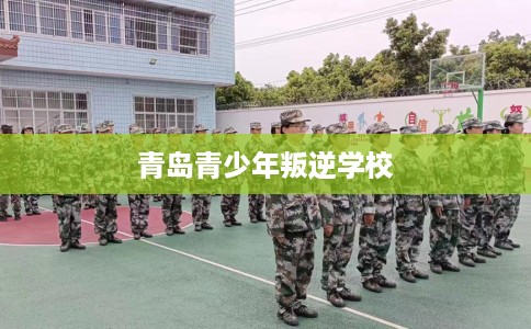 青岛青少年叛逆学校