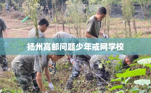 扬州高邮问题少年戒网学校