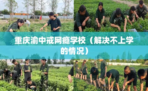重庆渝中戒网瘾学校（解决不上学的情况）