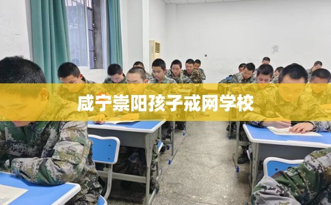 咸宁崇阳孩子戒网学校