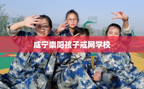 咸宁崇阳孩子戒网学校